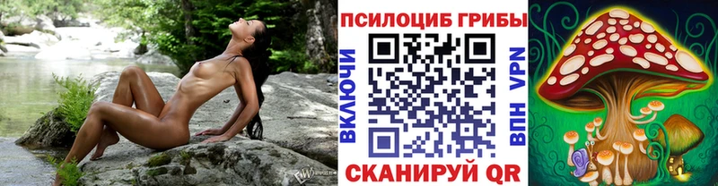 Псилоцибиновые грибы прущие грибы  Глазов 