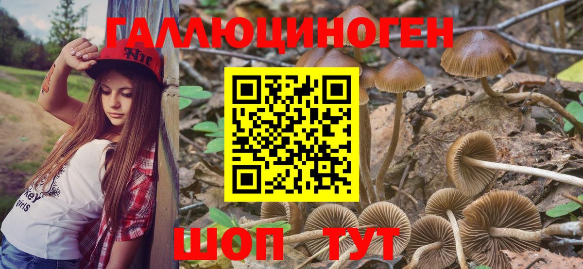 Галлюциногенные грибы мухоморы  Вход с VPN  Глазов  Псилоцибиновые грибы ЛСД 
